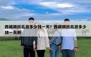 西藏跟团出游多少钱一天？西藏跟团出游多少钱一天啊