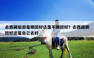 去西藏旅游是跟团好还是不跟团好？去西藏跟团好还是自己去好
