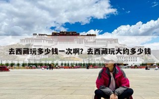 去西藏玩多少钱一次啊？去西藏玩大约多少钱