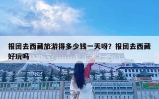 报团去西藏旅游得多少钱一天呀？报团去西藏好玩吗
