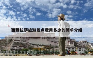 西藏拉萨旅游景点费用多少的简单介绍