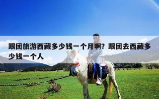 跟团旅游西藏多少钱一个月啊？跟团去西藏多少钱一个人