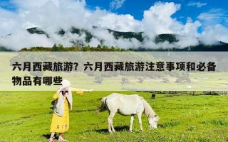 六月西藏旅游？六月西藏旅游注意事项和必备物品有哪些