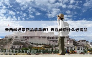 去西藏必带物品清单表？去西藏带什么必需品