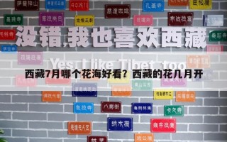 西藏7月哪个花海好看？西藏的花几月开