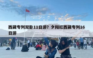 西藏专列双卧11日游？夕阳红西藏专列16日游