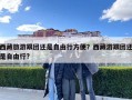 西藏旅游跟团还是自由行方便？西藏游跟团还是自由行?