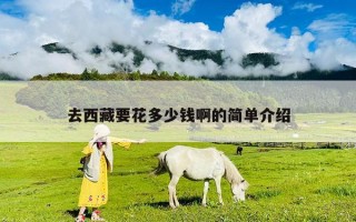 去西藏要花多少钱啊的简单介绍