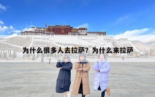 为什么很多人去拉萨？为什么来拉萨