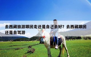 去西藏旅游跟团走还是自己去好？去西藏跟团还是自驾游