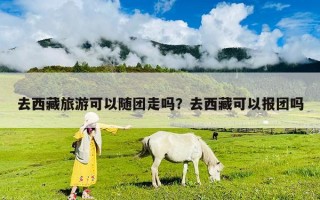 去西藏旅游可以随团走吗？去西藏可以报团吗