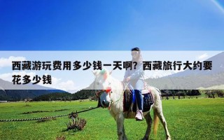 西藏游玩费用多少钱一天啊？西藏旅行大约要花多少钱
