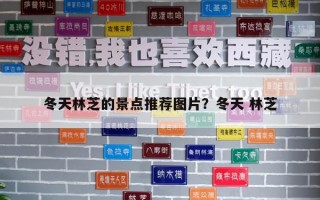 冬天林芝的景点推荐图片？冬天 林芝