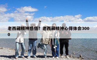 老西藏精神感悟？老西藏精神心得体会3000