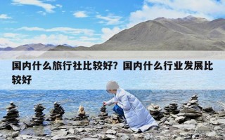 国内什么旅行社比较好？国内什么行业发展比较好