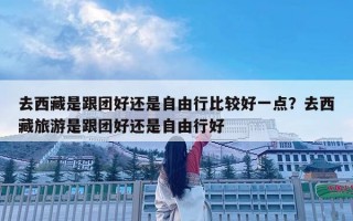 去西藏是跟团好还是自由行比较好一点？去西藏旅游是跟团好还是自由行好