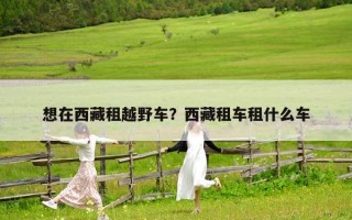 想在西藏租越野车？西藏租车租什么车