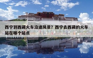 西宁到西藏火车沿途风景？西宁去西藏的火车站在哪个站点