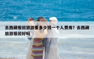 去西藏报团旅游要多少钱一个人费用？去西藏旅游报团好吗