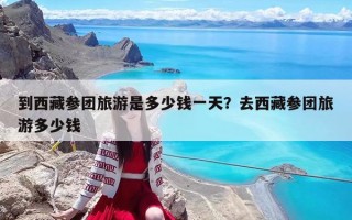到西藏参团旅游是多少钱一天？去西藏参团旅游多少钱