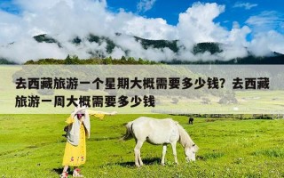 去西藏旅游一个星期大概需要多少钱？去西藏旅游一周大概需要多少钱