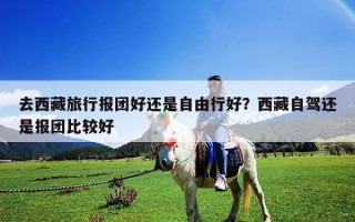 去西藏旅行报团好还是自由行好？西藏自驾还是报团比较好