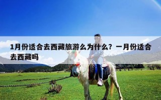 1月份适合去西藏旅游么为什么？一月份适合去西藏吗