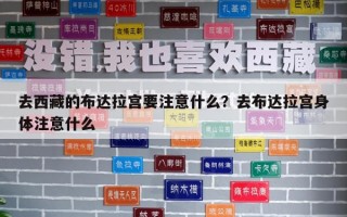 去西藏的布达拉宫要注意什么？去布达拉宫身体注意什么