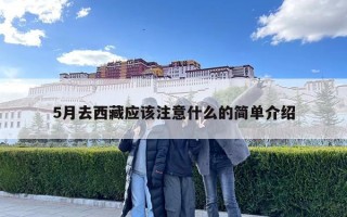 5月去西藏应该注意什么的简单介绍