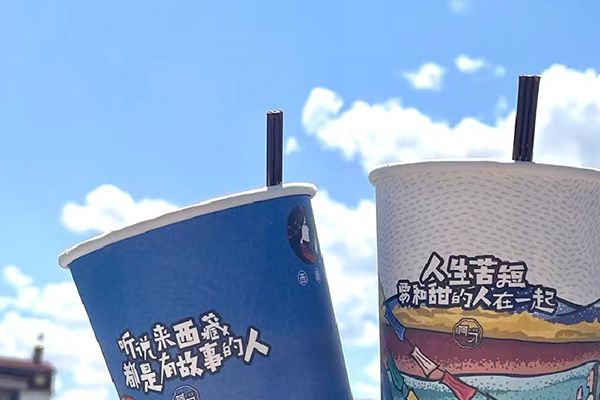 去西藏需要花多少钱