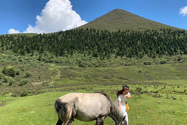 如何到拉萨玩是最好的