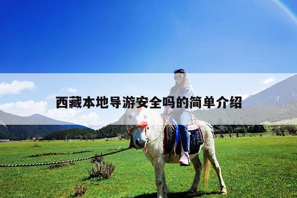 西藏本地导游安全吗的简单介绍