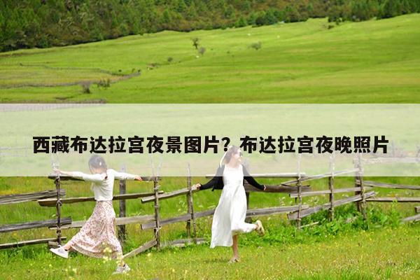 西藏布达拉宫夜景图片?布达拉宫夜晚照片
