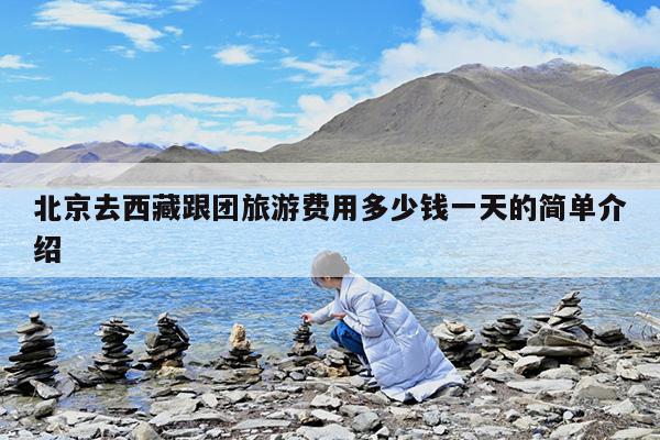 北京去西藏跟团旅游费用多少钱一天的简单介绍