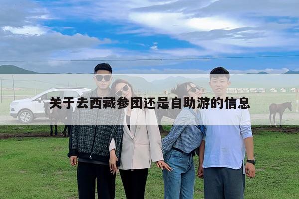 关于去西藏参团还是自助游的信息