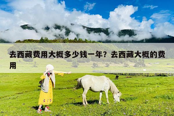 去西藏费用大概多少钱一年?去西藏大概的费用