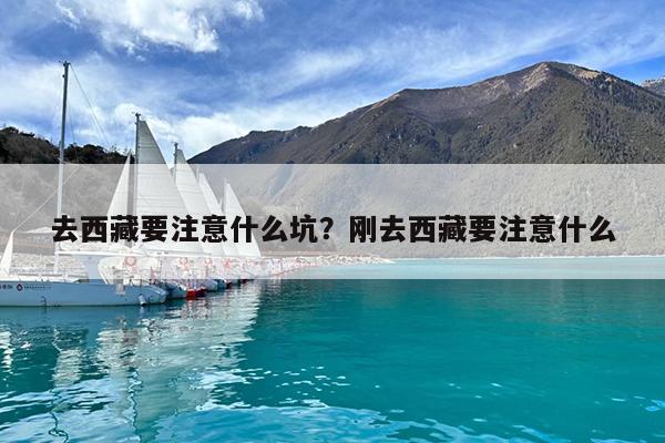 去西藏要注意什么坑?刚去西藏要注意什么