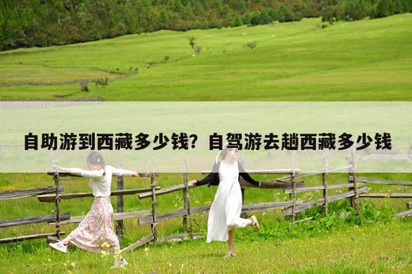 自助游到西藏多少钱?自驾游去趟西藏多少钱