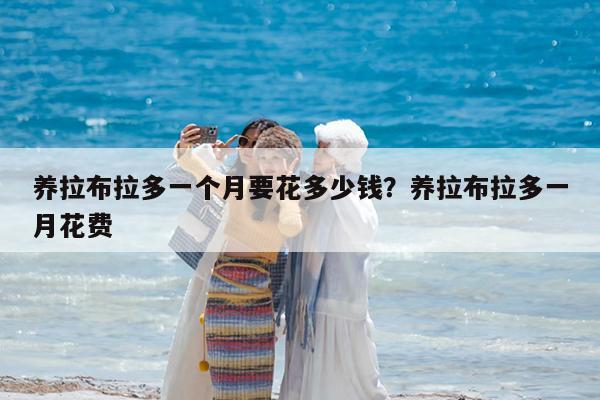 养拉布拉多一个月要花多少钱?养拉布拉多一月花费