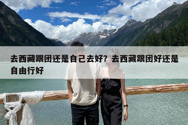 去西藏跟团还是自己去好?去西藏跟团好还是自由行好