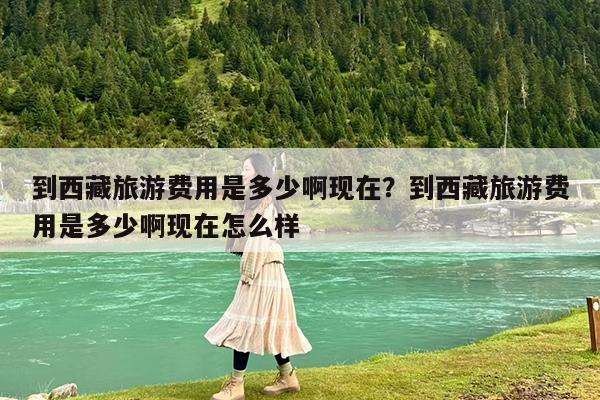 到西藏旅游费用是多少啊现在?到西藏旅游费用是多少啊现在怎么样