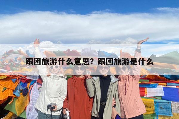 跟团旅游什么意思?跟团旅游是什么