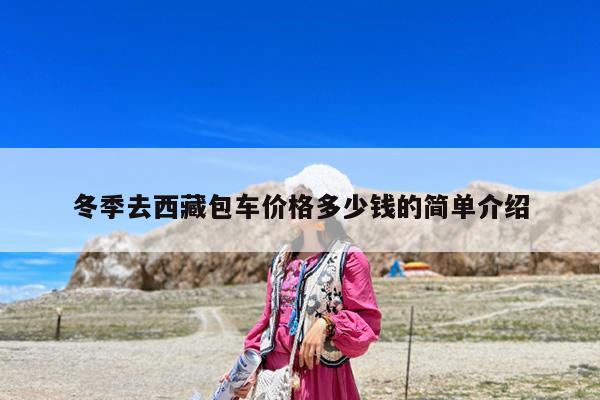 冬季去西藏包车价格多少钱的简单介绍