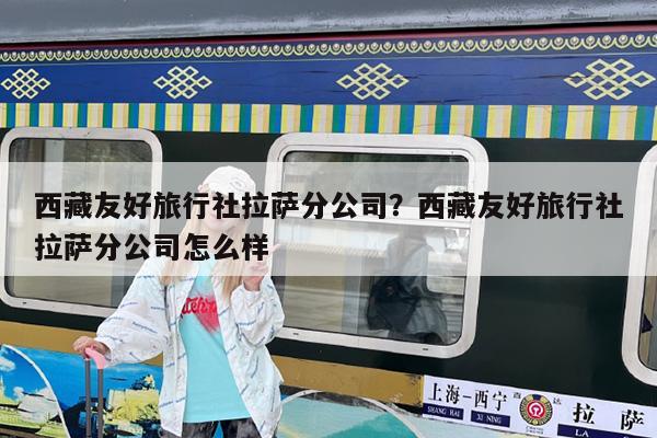 西藏友好旅行社拉萨分公司?西藏友好旅行社拉萨分公司怎么样