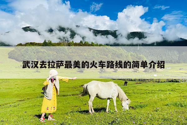 武汉去拉萨最美的火车路线的简单介绍
