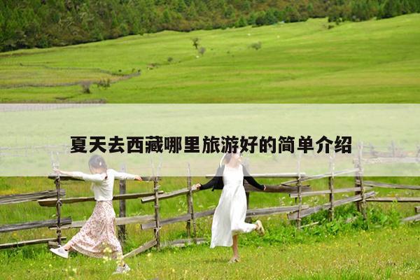 夏天去西藏哪里旅游好的简单介绍