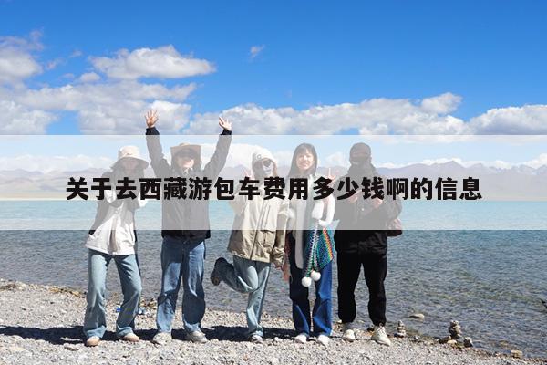 关于去西藏游包车费用多少钱啊的信息
