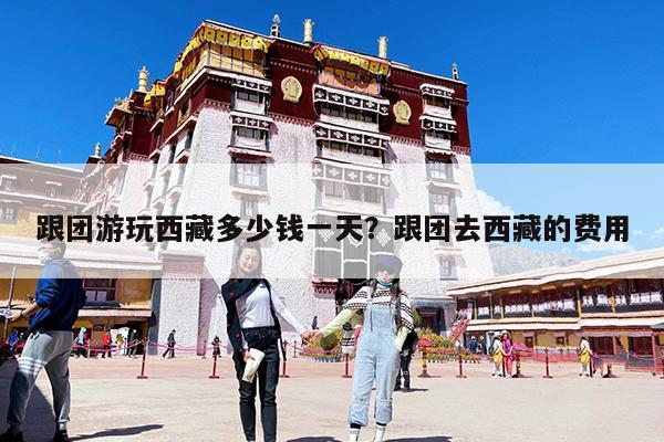 跟团游玩西藏多少钱一天?跟团去西藏的费用