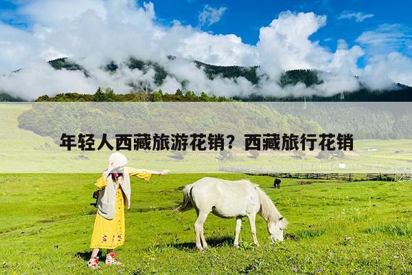 年轻人西藏旅游花销?西藏旅行花销