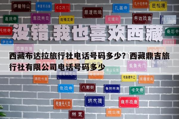 西藏布达拉旅行社电话号码多少?西藏鼎吉旅行社有限公司电话号码多少